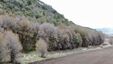 Pocatello Real Estate - MLS #582324 - Photograph #9