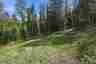 Pocatello Real Estate - MLS #582339 - Photograph #29
