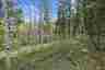 Pocatello Real Estate - MLS #582339 - Photograph #32