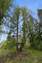 Pocatello Real Estate - MLS #582339 - Photograph #34