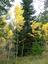 Pocatello Real Estate - MLS #582339 - Photograph #38