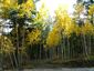 Pocatello Real Estate - MLS #582339 - Photograph #39