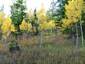 Pocatello Real Estate - MLS #582339 - Photograph #40