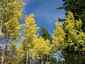 Pocatello Real Estate - MLS #582339 - Photograph #41