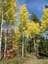 Pocatello Real Estate - MLS #582339 - Photograph #42