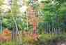 Pocatello Real Estate - MLS #582339 - Photograph #43