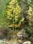 Pocatello Real Estate - MLS #582339 - Photograph #44