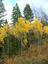 Pocatello Real Estate - MLS #582339 - Photograph #46