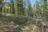 Pocatello Real Estate - MLS #582339 - Photograph #12