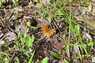 Pocatello Real Estate - MLS #582339 - Photograph #13