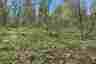 Pocatello Real Estate - MLS #582339 - Photograph #19