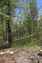 Pocatello Real Estate - MLS #582339 - Photograph #27