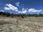 Pocatello Real Estate - MLS #582354 - Photograph #3