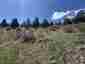 Pocatello Real Estate - MLS #582354 - Photograph #6