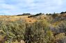 Pocatello Real Estate - MLS #582365 - Photograph #7