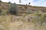 Pocatello Real Estate - MLS #582365 - Photograph #20