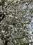 Pocatello Real Estate - MLS #582433 - Photograph #37