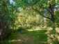 Pocatello Real Estate - MLS #582521 - Photograph #36