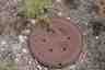 Pocatello Real Estate - MLS #582543 - Photograph #33