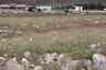 Pocatello Real Estate - MLS #582543 - Photograph #36