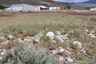 Pocatello Real Estate - MLS #582543 - Photograph #37