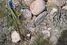 Pocatello Real Estate - MLS #582543 - Photograph #4