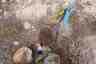 Pocatello Real Estate - MLS #582543 - Photograph #10