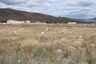 Pocatello Real Estate - MLS #582544 - Photograph #2