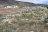Pocatello Real Estate - MLS #582544 - Photograph #3