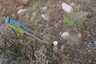 Pocatello Real Estate - MLS #582544 - Photograph #11