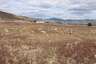 Pocatello Real Estate - MLS #582544 - Photograph #14