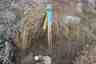 Pocatello Real Estate - MLS #582544 - Photograph #20