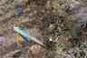 Pocatello Real Estate - MLS #582544 - Photograph #24