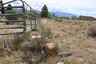 Pocatello Real Estate - MLS #582544 - Photograph #25