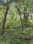 Pocatello Real Estate - MLS #582553 - Photograph #3