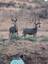 Pocatello Real Estate - MLS #582558 - Photograph #30