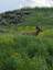 Pocatello Real Estate - MLS #582558 - Photograph #31