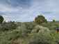Pocatello Real Estate - MLS #582580 - Photograph #10