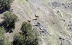 Pocatello Real Estate - MLS #582584 - Photograph #22