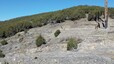 Pocatello Real Estate - MLS #582584 - Photograph #23