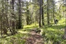 Pocatello Real Estate - MLS #582595 - Photograph #20