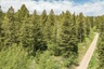 Pocatello Real Estate - MLS #582595 - Photograph #21
