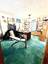 Pocatello Real Estate - MLS #582614 - Photograph #7