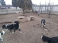 Pocatello Real Estate - MLS #582682 - Photograph #22