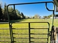 Pocatello Real Estate - MLS #582685 - Photograph #3