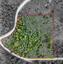 Pocatello Real Estate - MLS #582702 - Photograph #15