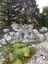 Pocatello Real Estate - MLS #582725 - Photograph #45