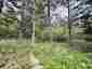 Pocatello Real Estate - MLS #582769 - Photograph #5