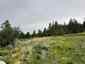 Pocatello Real Estate - MLS #582769 - Photograph #9