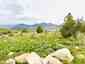 Pocatello Real Estate - MLS #582769 - Photograph #10